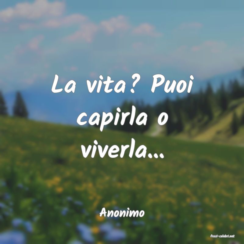 frasi di  Anonimo

