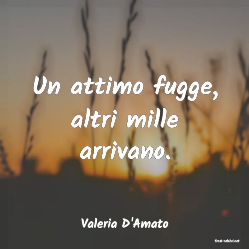 frasi di Valeria D'Amato