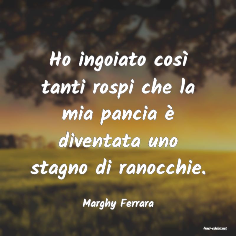 frasi di  Marghy Ferrara
