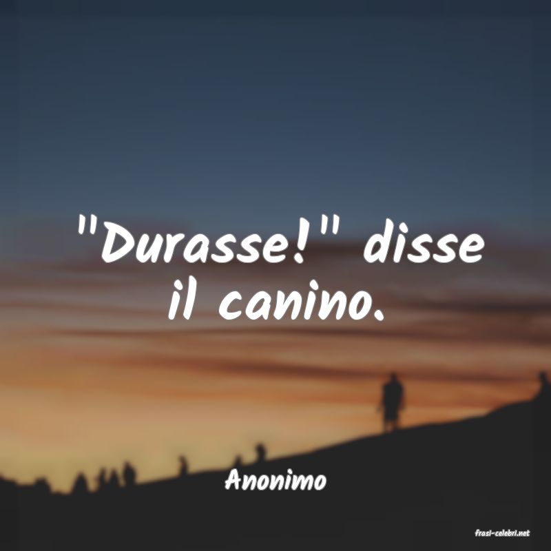 frasi di  Anonimo
