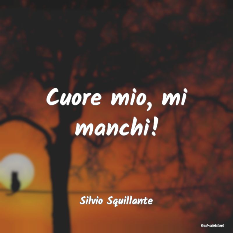 frasi di  Silvio Squillante
