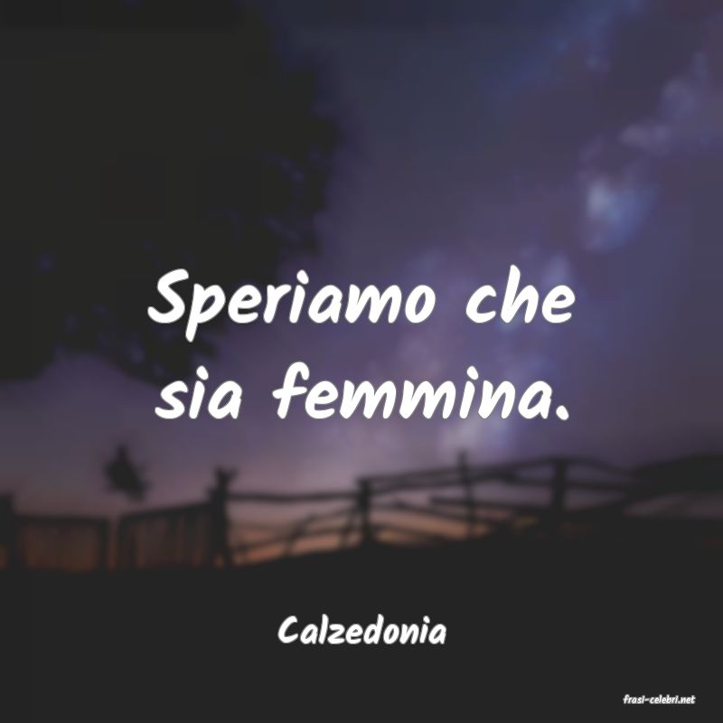 frasi di  Calzedonia
