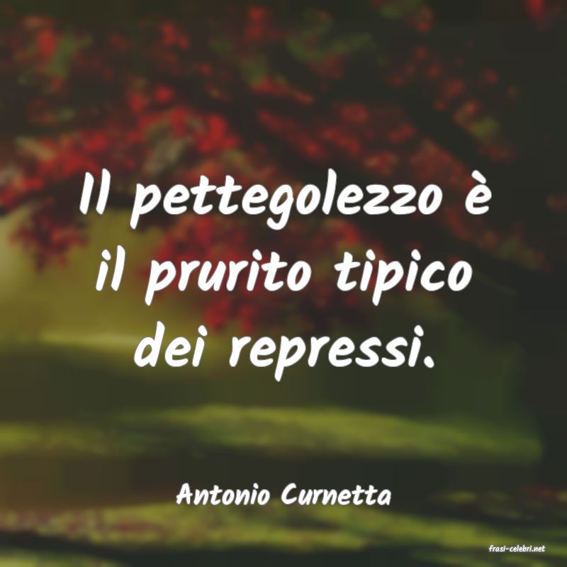 frasi di  Antonio Curnetta
