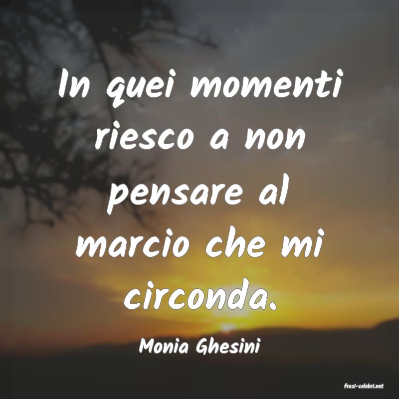 frasi di  Monia Ghesini
