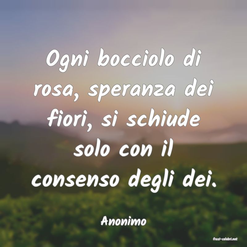 frasi di Anonimo