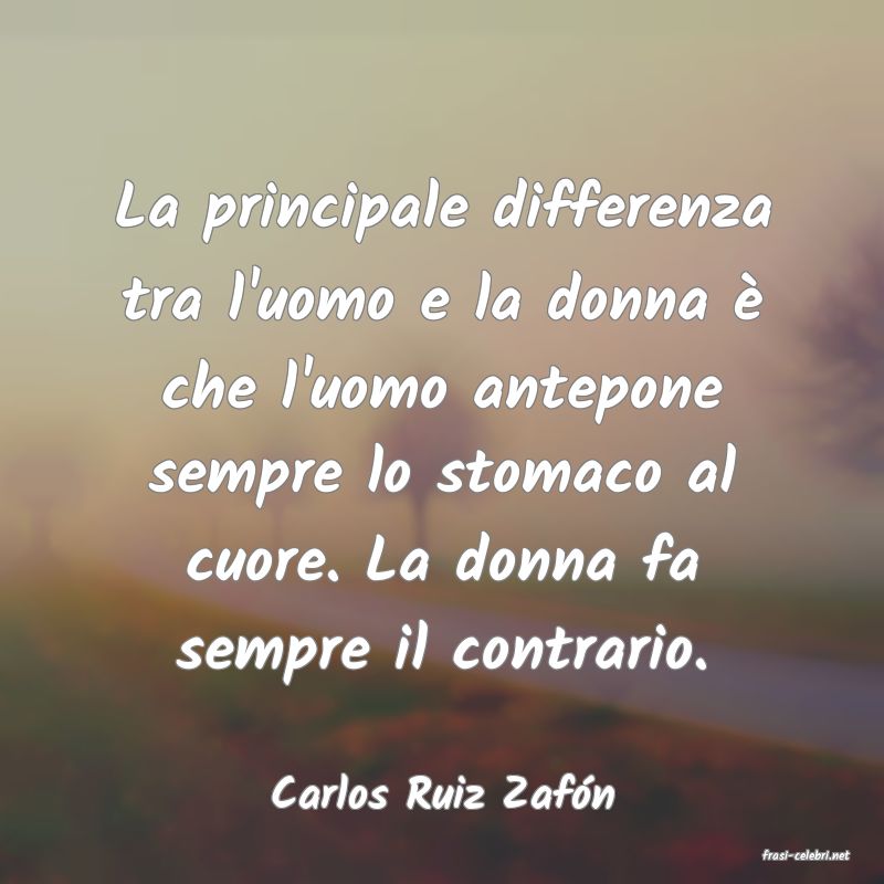 frasi di Carlos Ruiz Zafn