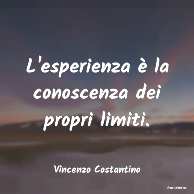 frasi di  Vincenzo Costantino
