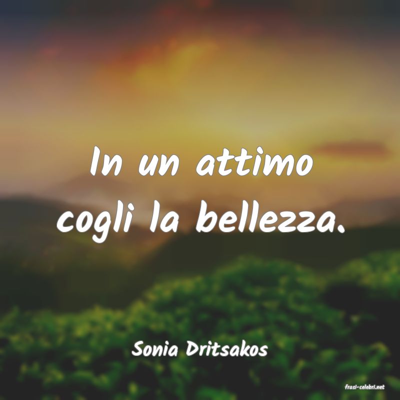 frasi di  Sonia Dritsakos
