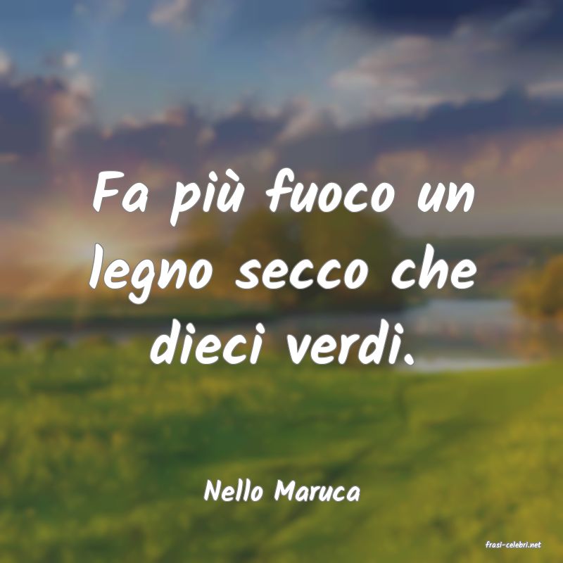 frasi di  Nello Maruca
