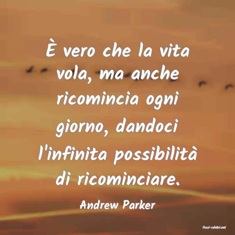 frasi di  Andrew Parker
