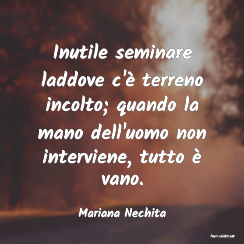 frasi di  Mariana Nechita

