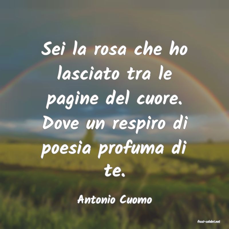 frasi di  Antonio Cuomo
