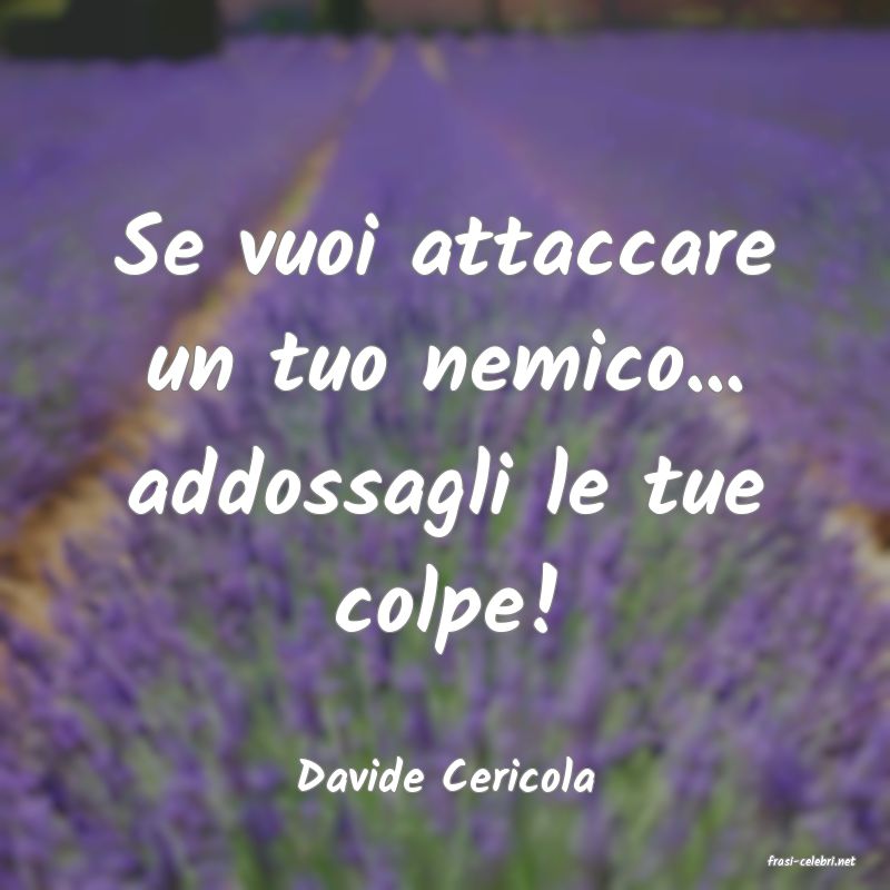 frasi di  Davide Cericola
