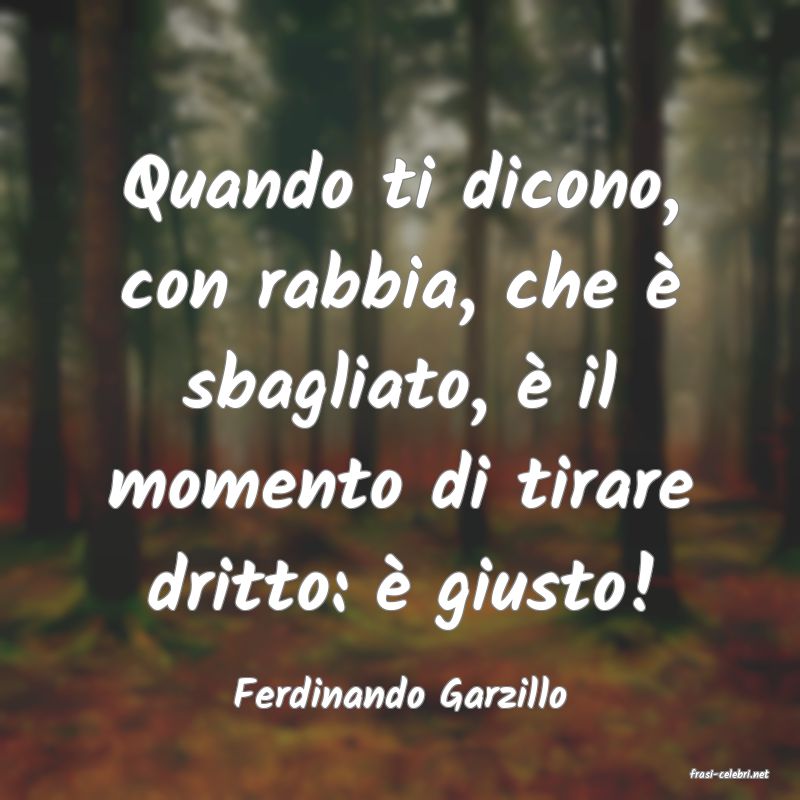 frasi di  Ferdinando Garzillo
