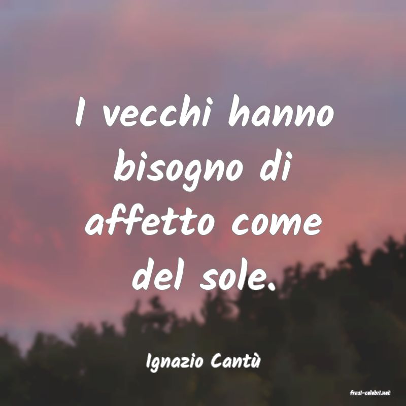 frasi di Ignazio Cant�