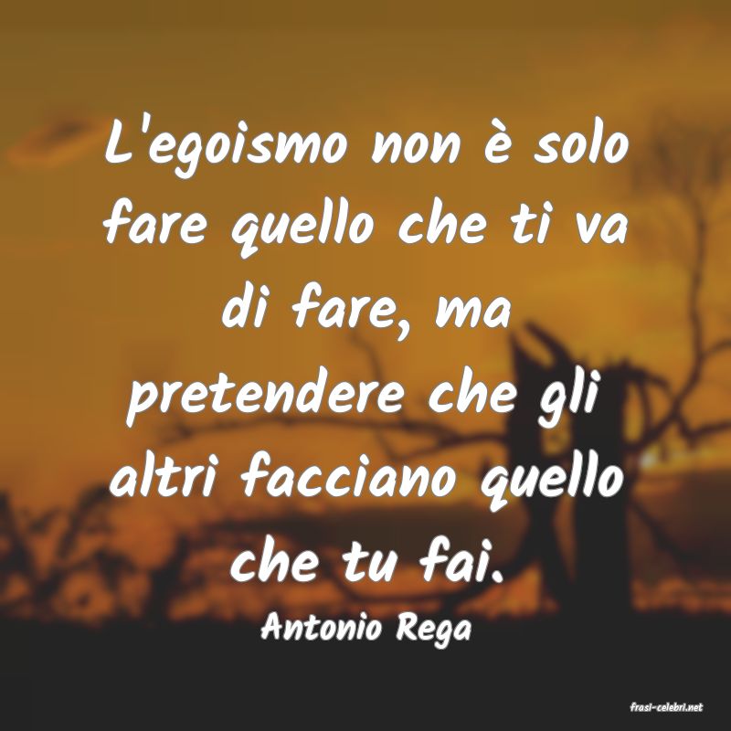 frasi di  Antonio Rega
