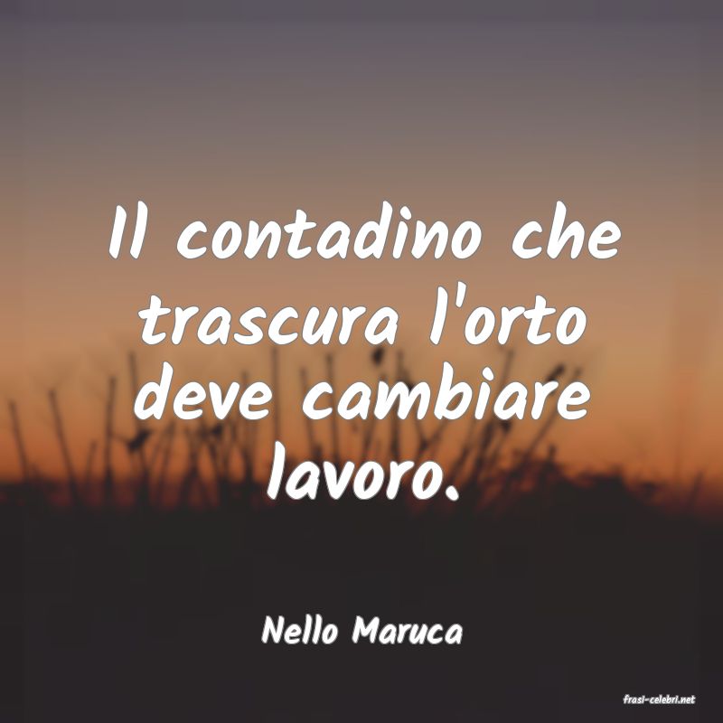 frasi di  Nello Maruca
