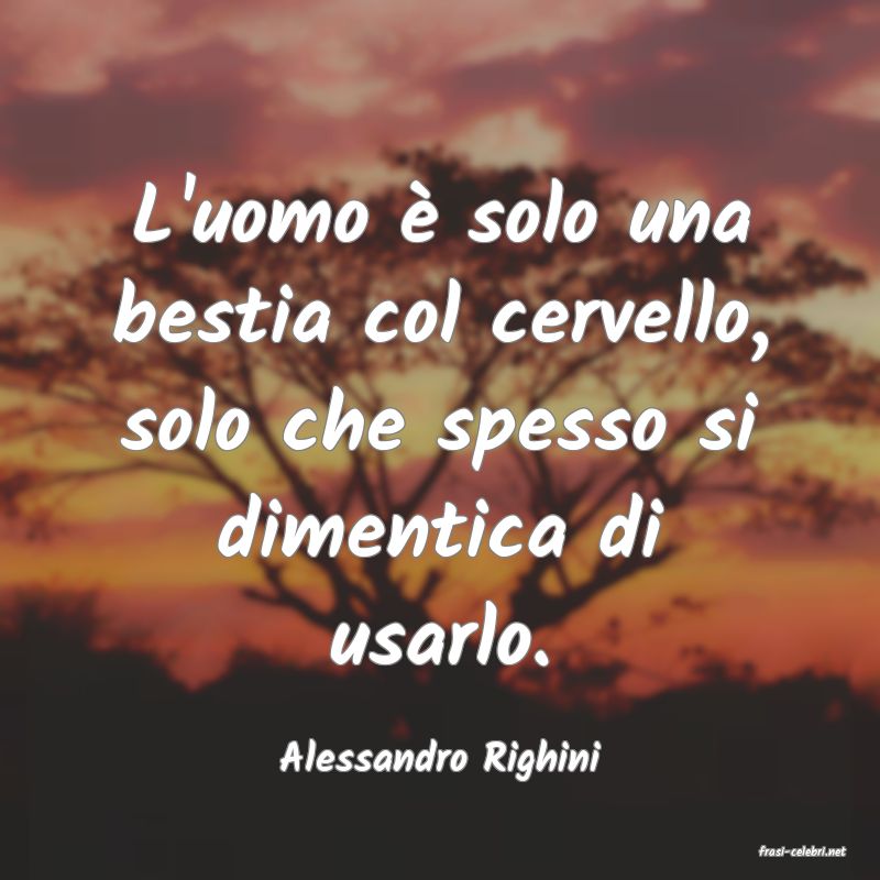 frasi di  Alessandro Righini
