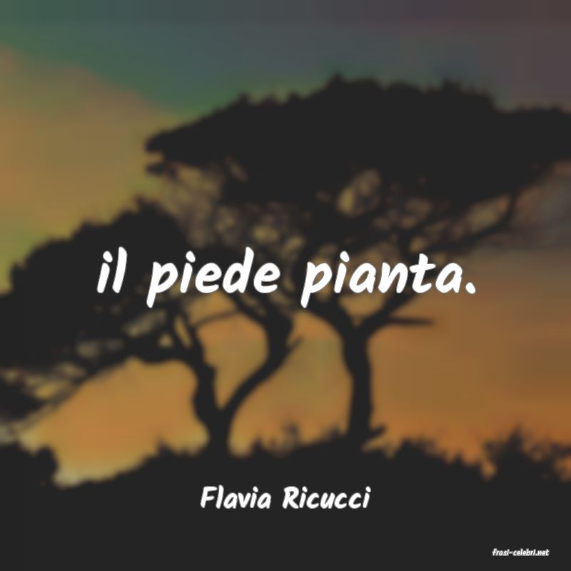 frasi di  Flavia Ricucci
