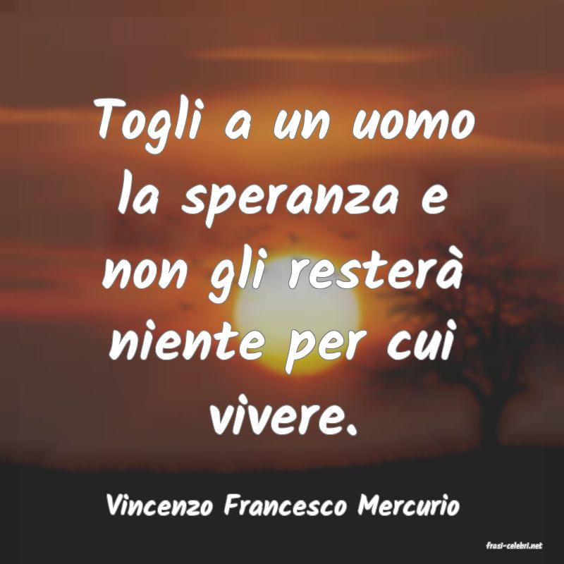 frasi di Vincenzo Francesco Mercurio