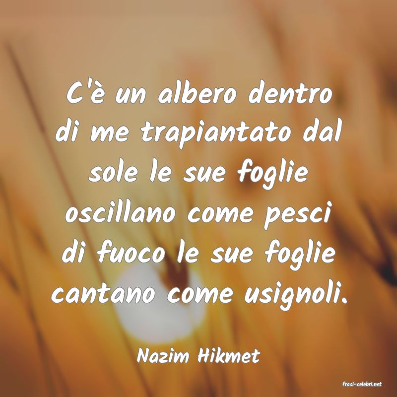 frasi di Nazim Hikmet