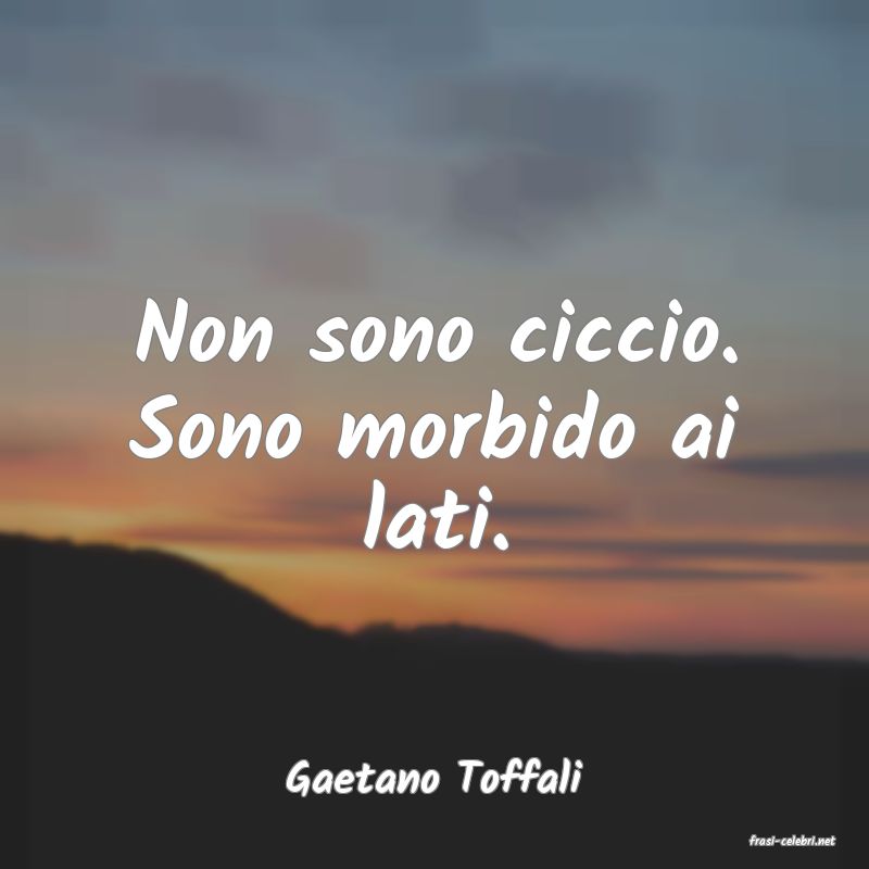 frasi di Gaetano Toffali