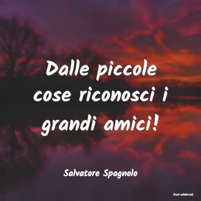 frasi di  Salvatore Spagnolo
