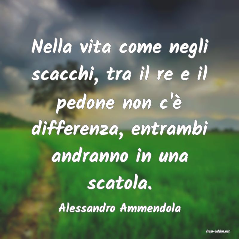 frasi di  Alessandro Ammendola
