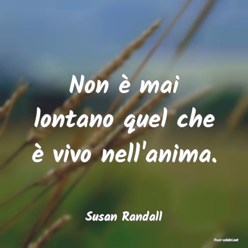 frasi di  Susan Randall
