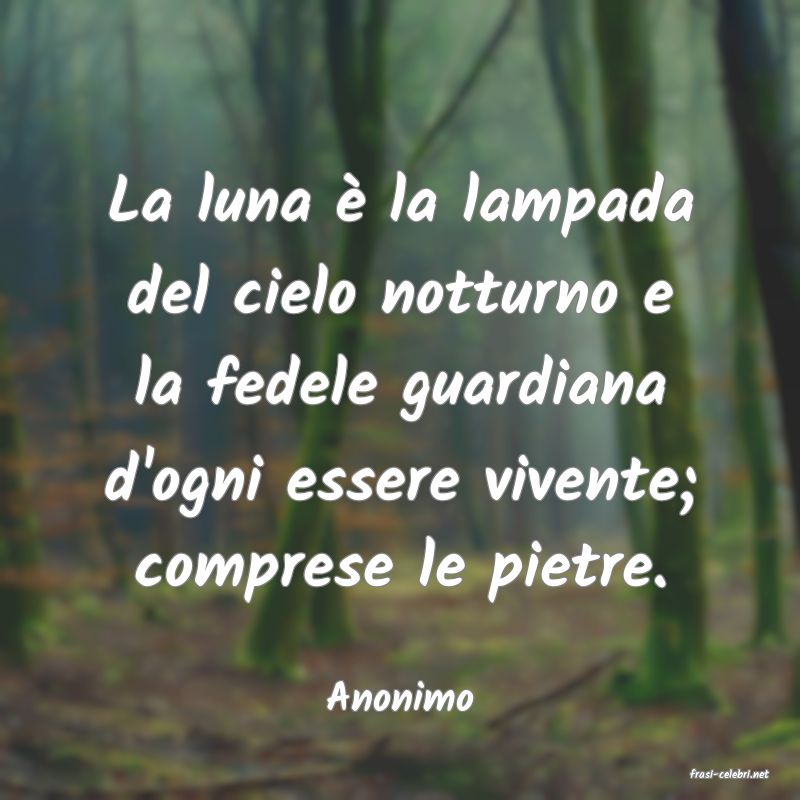 frasi di  Anonimo
