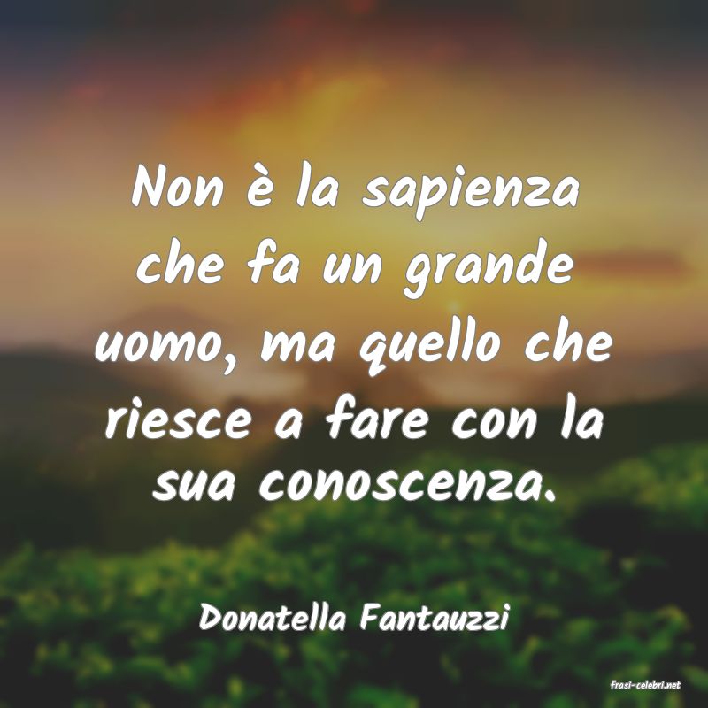 frasi di  Donatella Fantauzzi
