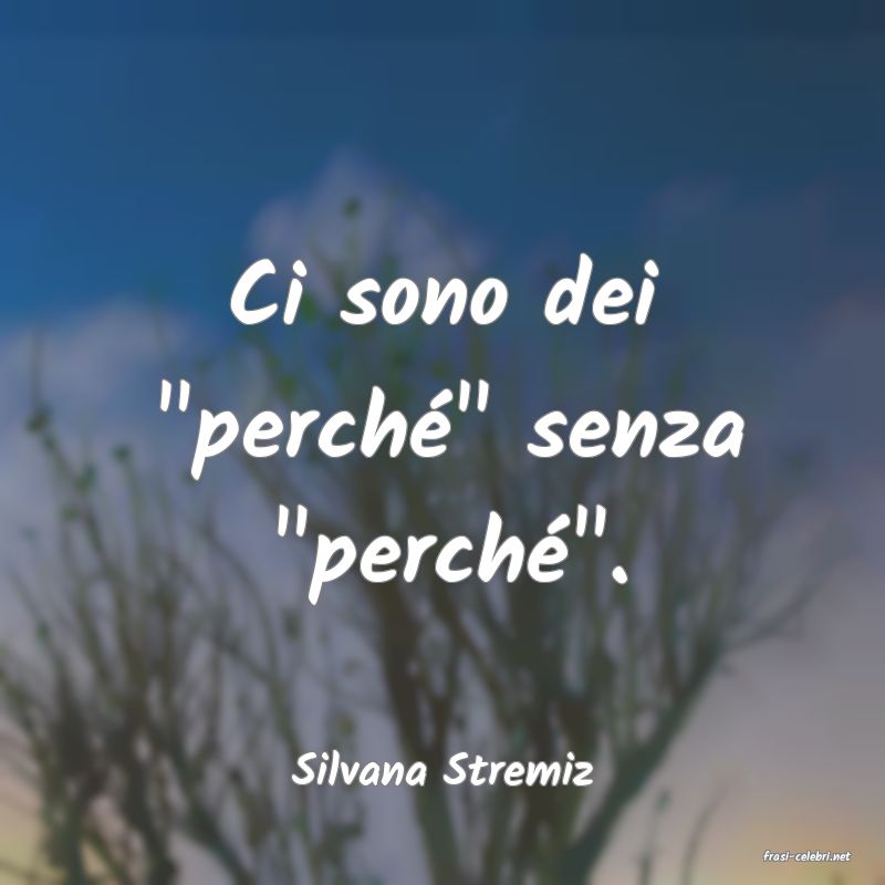 frasi di  Silvana Stremiz
