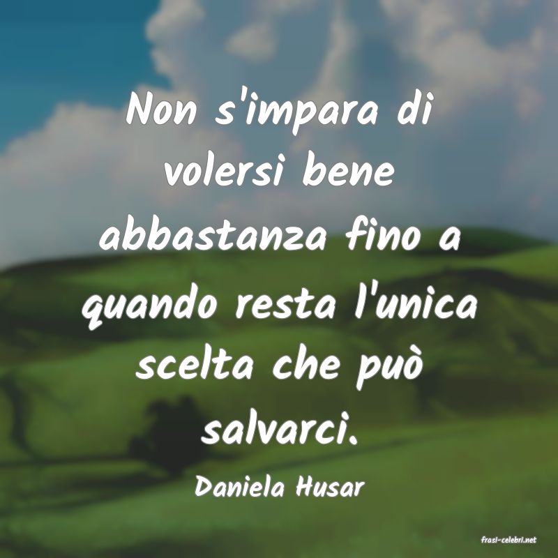 frasi di  Daniela Husar
