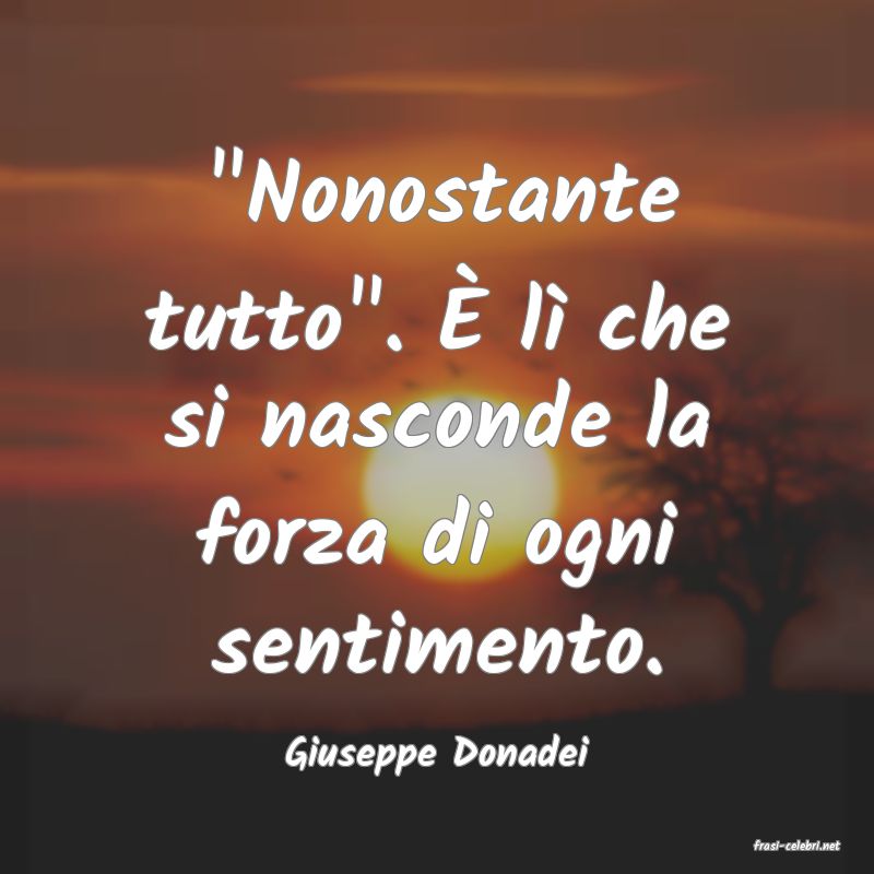 frasi di  Giuseppe Donadei
