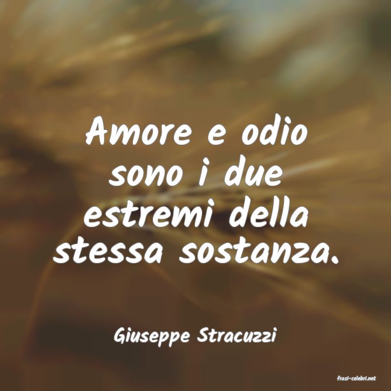 frasi di  Giuseppe Stracuzzi
