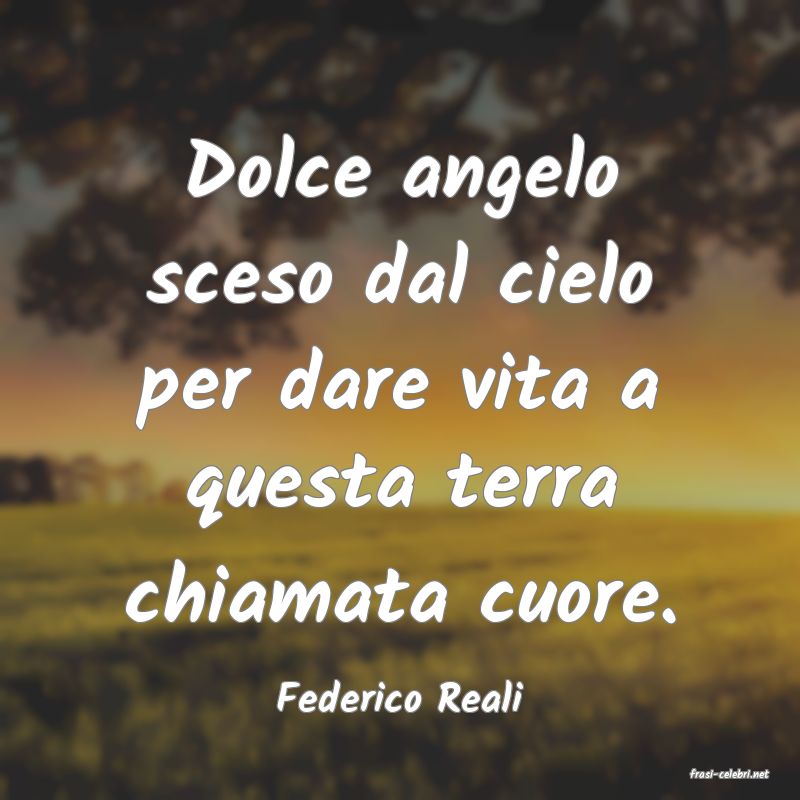 frasi di  Federico Reali
