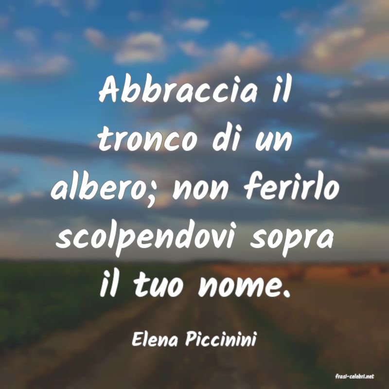 frasi di  Elena Piccinini
