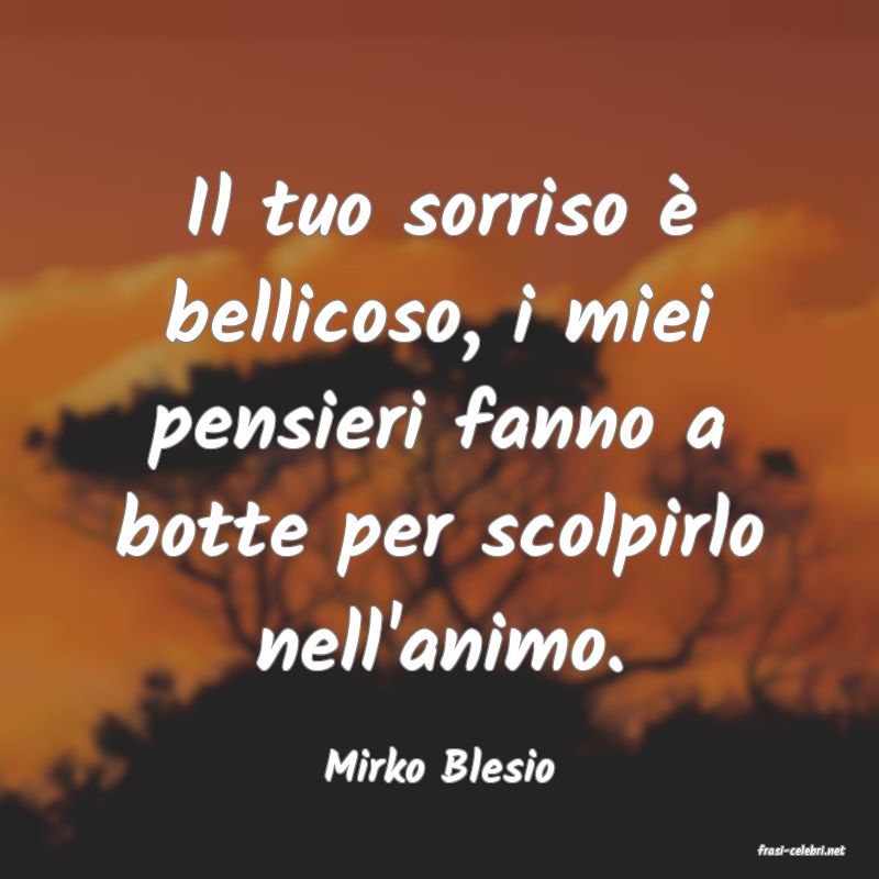 frasi di  Mirko Blesio
