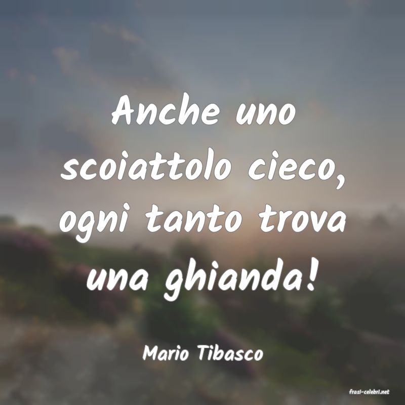 frasi di  Mario Tibasco
