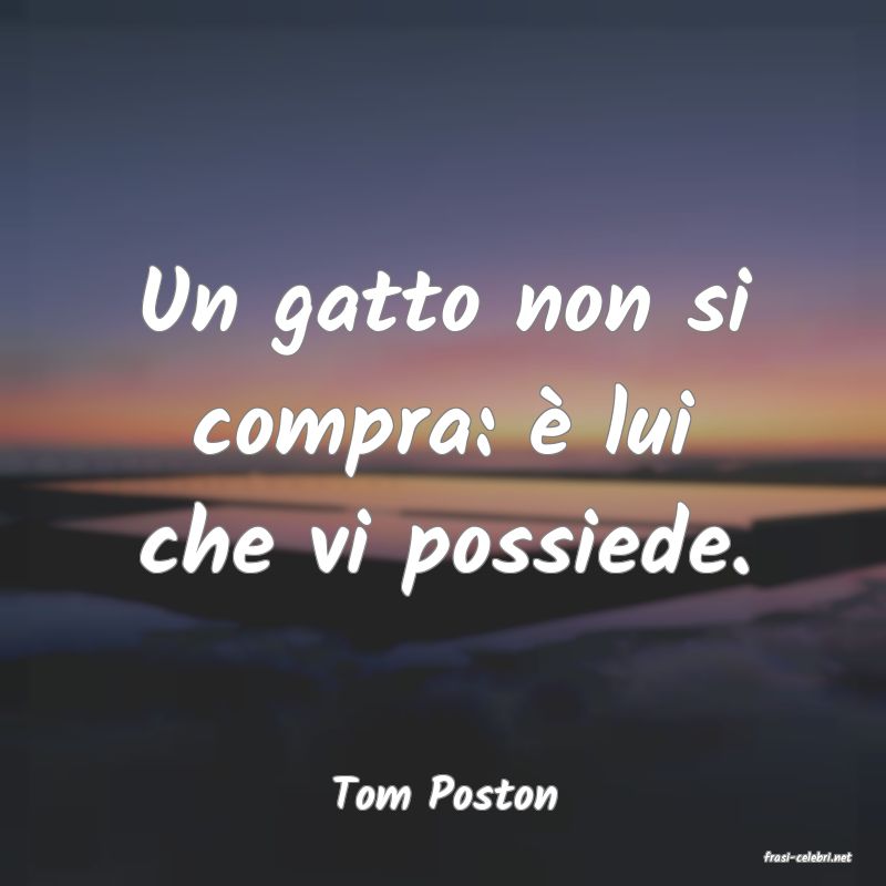 frasi di Tom Poston