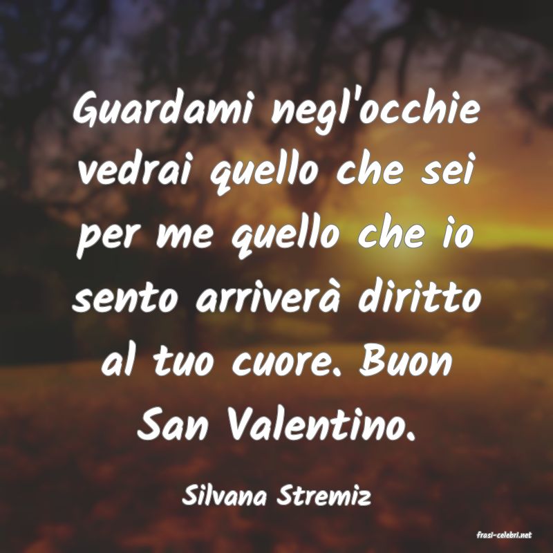 frasi di Silvana Stremiz