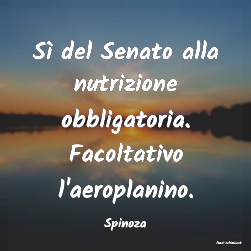 frasi di Spinoza