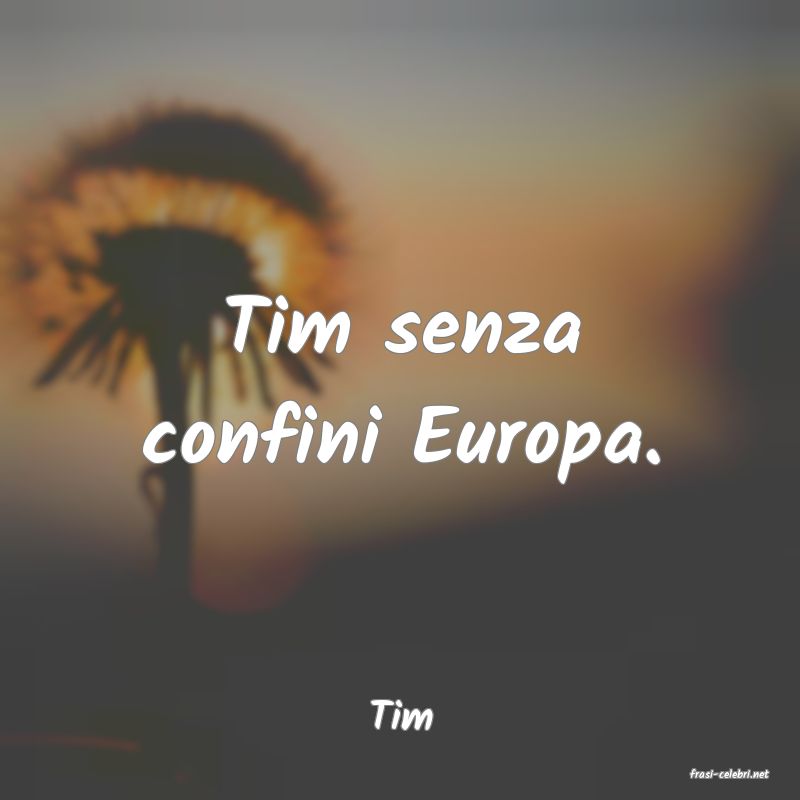 frasi di Tim