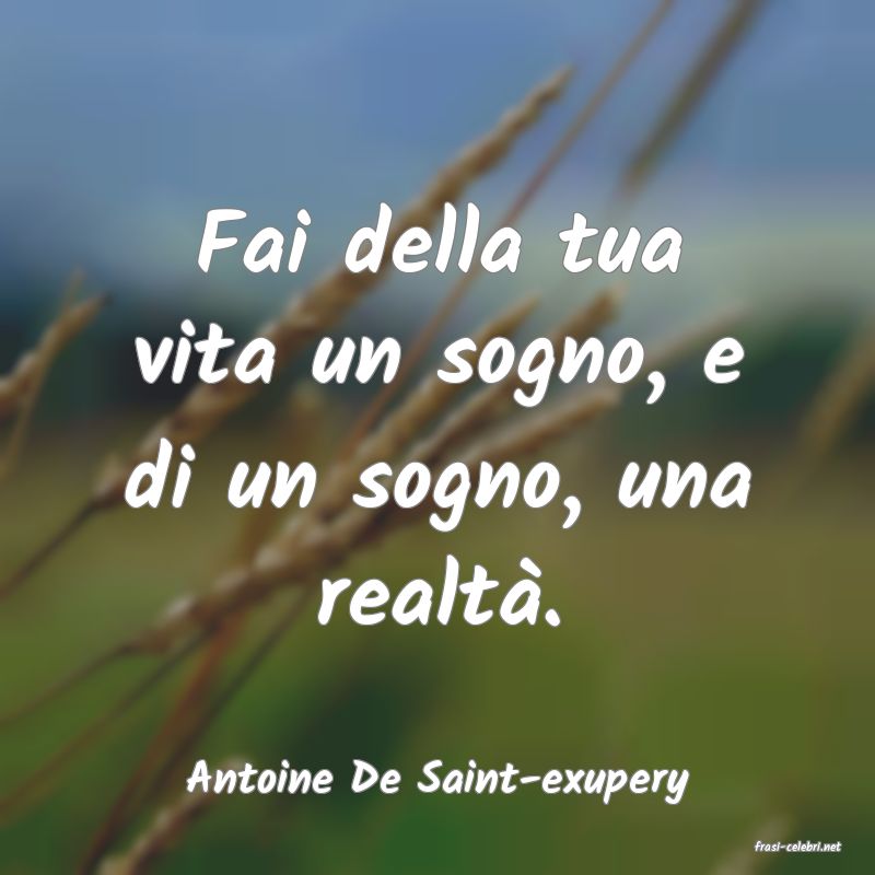 frasi di  Antoine De Saint-exupery