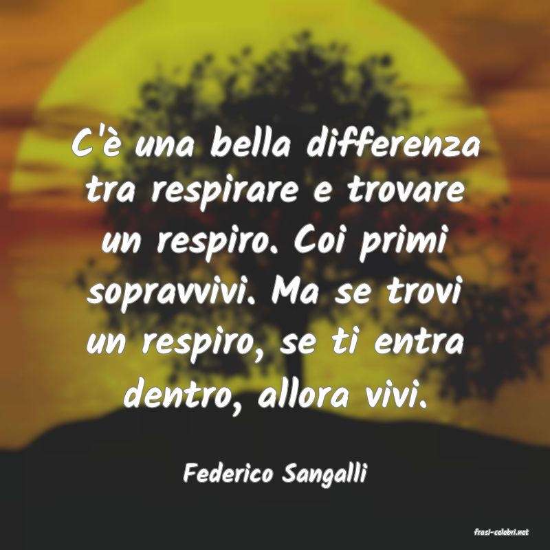 frasi di  Federico Sangalli
