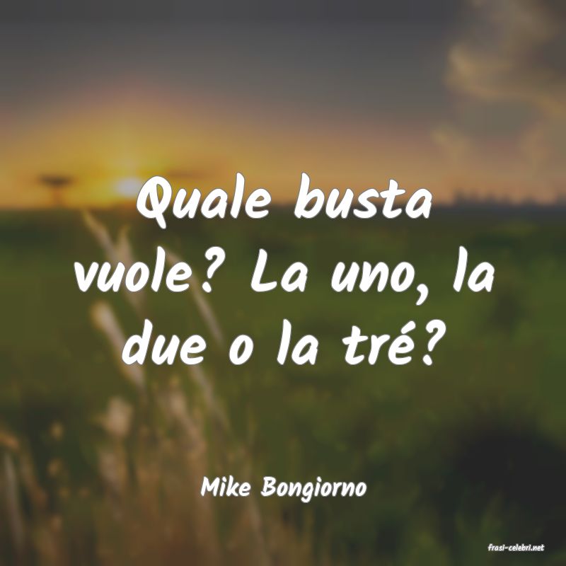 frasi di  Mike Bongiorno
