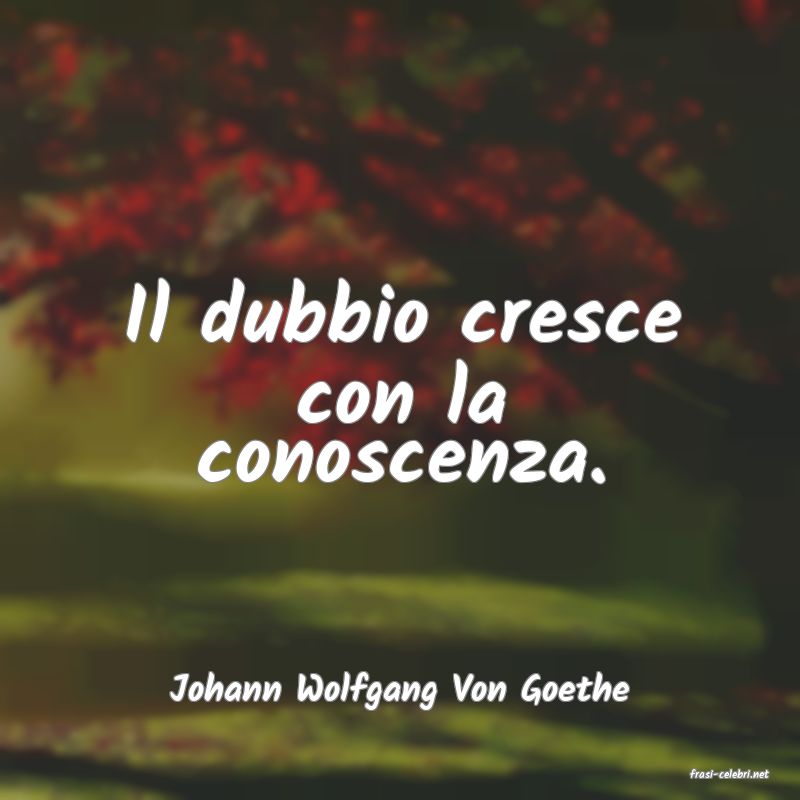 frasi di  Johann Wolfgang Von Goethe

