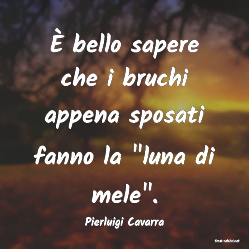 frasi di Pierluigi Cavarra