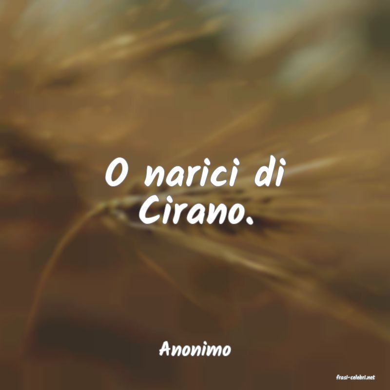 frasi di Anonimo