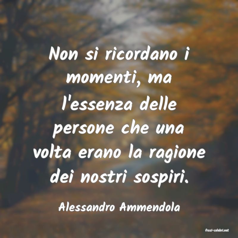 frasi di  Alessandro Ammendola
